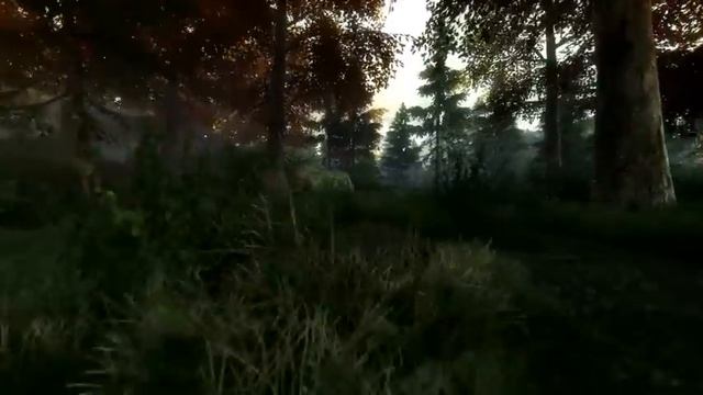 The Vanishing of Ethan Carter - [#4] Итан Картер и Тайная комната © смотреть онлайн