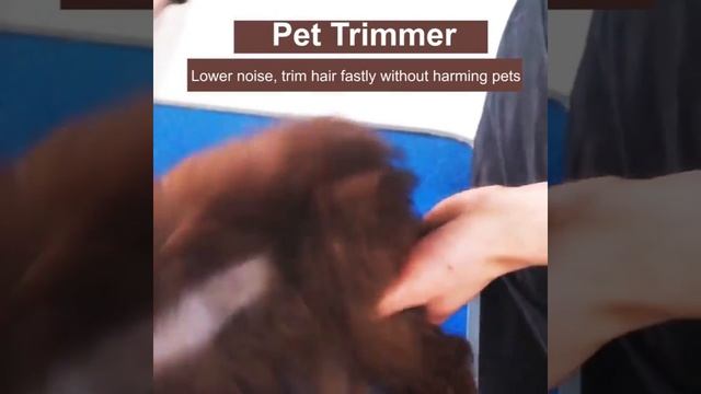 Dog Trimz - Quite Dog Hair Trimmer For Thick Hair смотреть онлайн