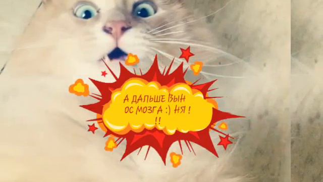 Ну что мне сделать ? смотреть онлайн