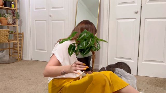 unboxing my TOP WISHLIST PLANT!