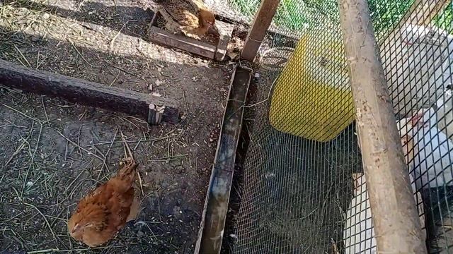 Домашние приметы