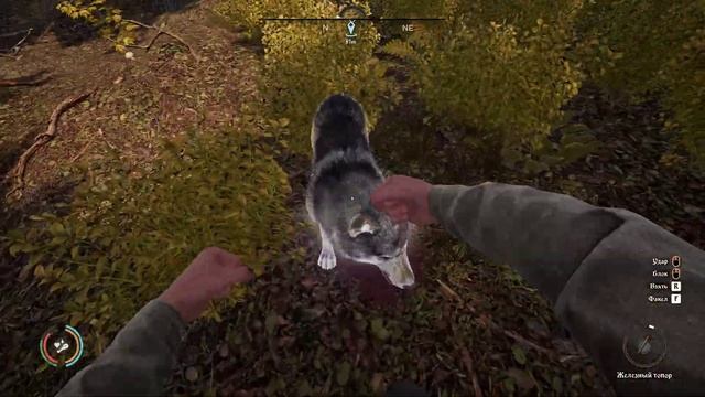 Medieval Dynasty. ? Танцы с волками. смотреть онлайн