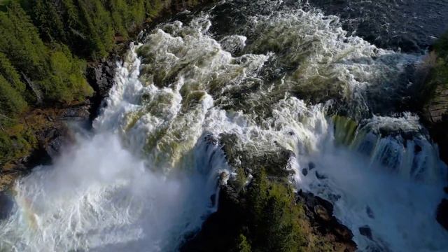 Dan Gibson’s Solitudes - Within the Mind | Dreaming by the Stream смотреть онлайн