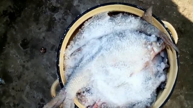 Маринуем толстолобика. Делаем ХЕ из рыбы. смотреть онлайн