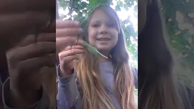 Что едят наши домашние улитки ?? смотреть онлайн