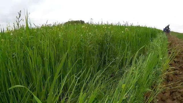 Оранка мінітрактором Синтай 244 літо 2016. смотреть онлайн