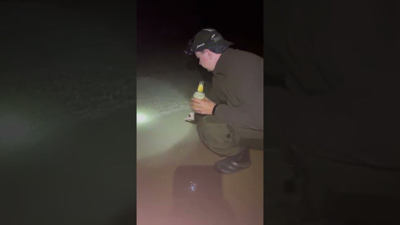 Каспий соленый ) смотреть онлайн