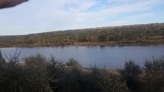 Mazda 323F ba & alphard x6l смотреть онлайн