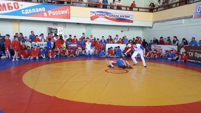Кубок главы г Соликамск по Самбо 11.05.19 смотреть онлайн