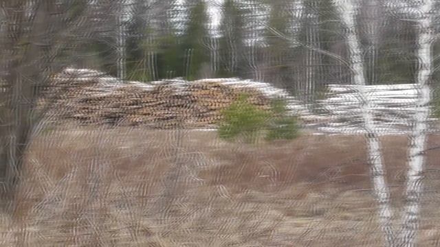 коп2018/мой первый коп и ТАКИЕ находки/поиск среди одних дыр смотреть онлайн