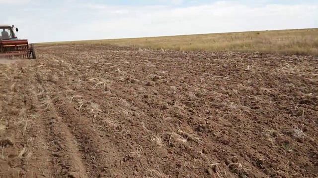 Посев озимой ржи 29 августа