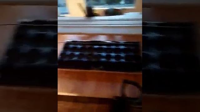 Подсветка для рассады смотреть онлайн