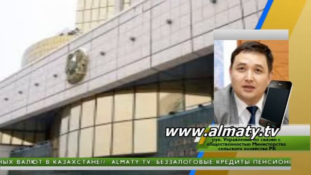 Подорожание гречки в Алматы смотреть онлайн