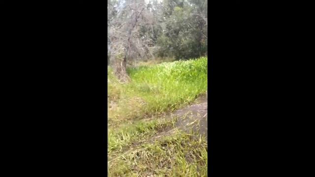 Honda Riding Club. 4 X 4 Rubicon, Rancher TRX 300. 500. 420. 350