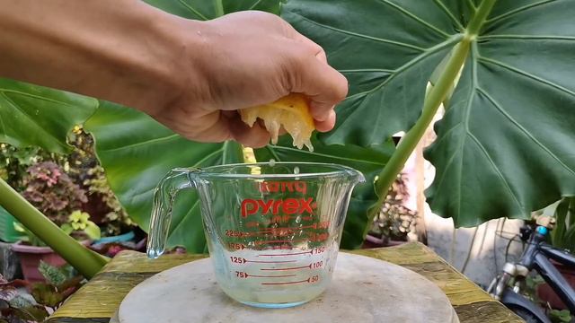 MAGIC BLUE MOCKTAIL💙🍹 смотреть онлайн