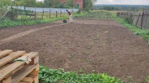 🌲Питомник растений с нуля и создание контейнерной площадки