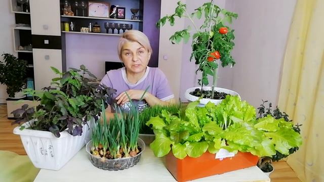 Учим Делать с Душой