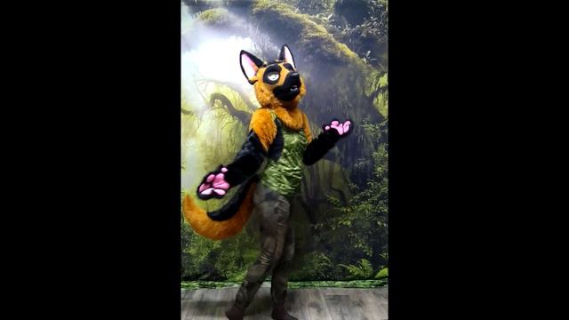 Fursuit German shepherd. смотреть онлайн
