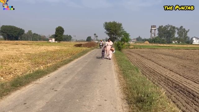 Sas Pardahn ਸੱਸ ਪ੍ਰਧਾਨ (episode-74 ) NEW PUNJABI VIDEO 2023 , PREET SANDEEP VICKY KAWAL смотреть онлайн