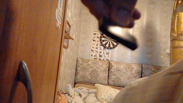 Влог. Поддерживает ли меня кто-нибудь из моих родных в блоггинге? смотреть онлайн