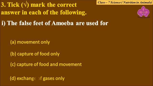 Nutrition in Animals - Class : 7 Science || Exercises & Question Answers|| CBSE / NCERT Syllabus смотреть онлайн