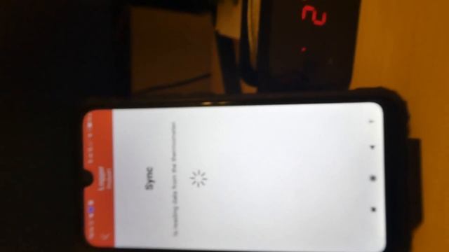 Беспроводной термометр INKBIRD IBT 2X