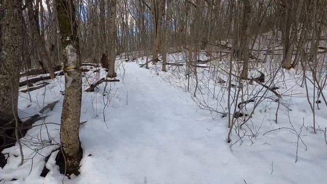 Поход на гору Собер-Баш в Краснодарском крае смотреть онлайн