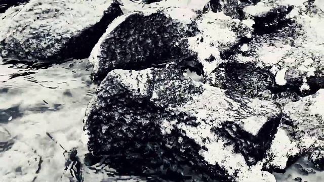 VID 20221121 194536 Ручей с холодной водой...1921(В. Хлебников)...Павел Васильев Лахтинский смотреть онлайн