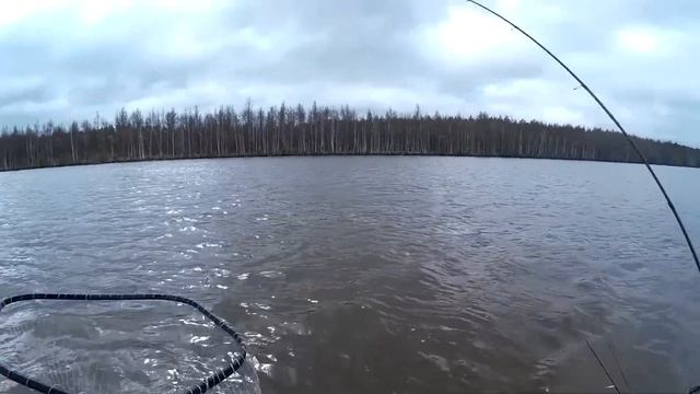 Ловля щуки на раттлины: просто и эффективно смотреть онлайн