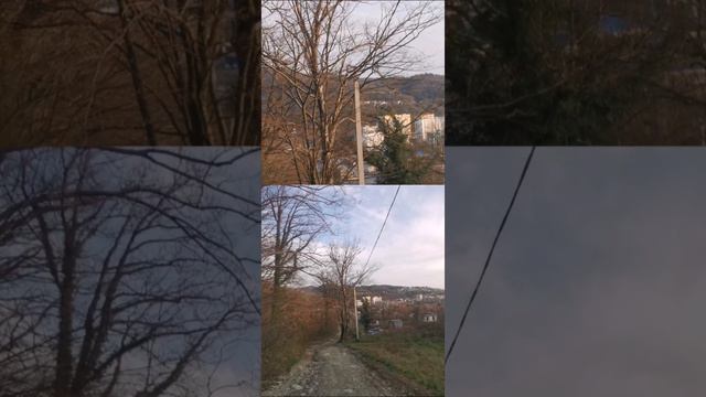 #walkin and listening _ Deep Morning Chill Music Mix. Have a nice day. #mountain #forest #music смотреть онлайн