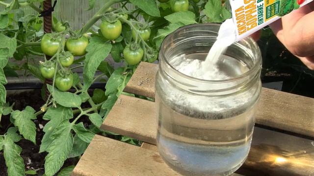 Борная кислота для помидор, опрыскивание и полив смотреть онлайн