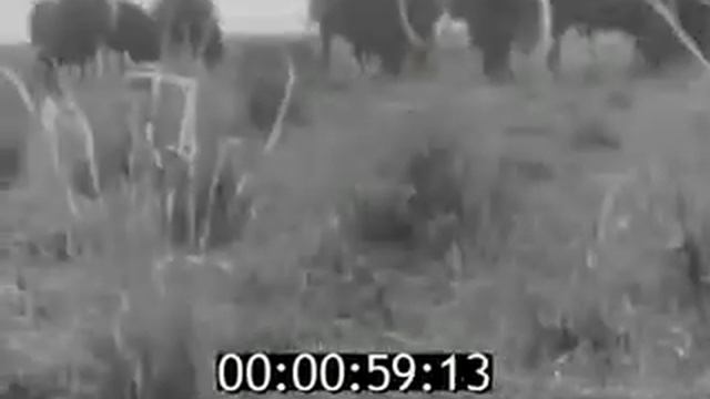 1977г Депутат Верховного Совета СССР Мария Дорджиевна Зулаева