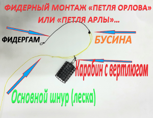 ФИДЕРНЫЙ МОНТАЖ «ПЕТЛЯ ОРЛОВА» ИЛИ «ПЕТЛЯ АРЛЫ»…