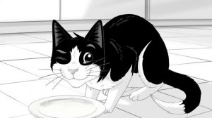 «Феликс» - корм для рисованных котов. Если бы в рекламе говорили правду.