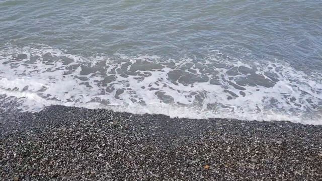 Едем на море // Я в Лоо смотреть онлайн