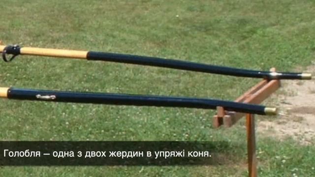 Тлумачний словник( укр.мова) с.34№19 смотреть онлайн