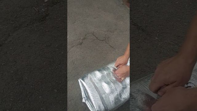 Получил сегодня малька клариевого сома. Денис Шаблий с Харькова отправил 1200штук смотреть онлайн