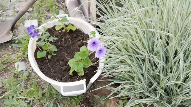 Так бывает - жизнь одна смотреть онлайн