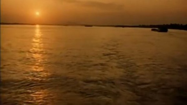 Леон Гаррос ищет друга