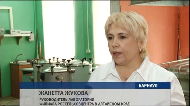 Половина фермеров края перешла на биопрепараты, производимые алтайским филиалом «Россельхозцентра» смотреть онлайн