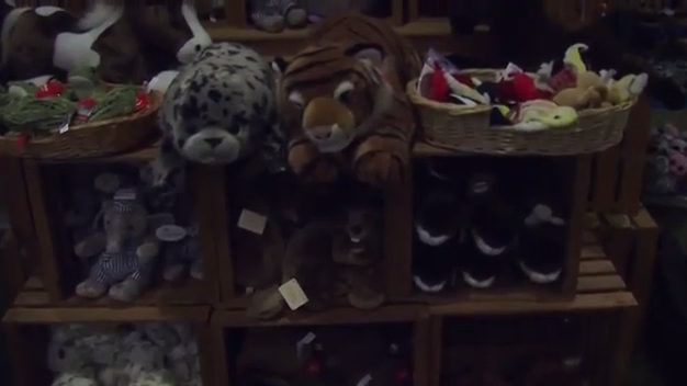 Buttonwood Park Zoo - Gift Shop смотреть онлайн