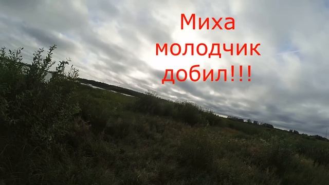 Открытие охоты на утку в Ярославской области 19. 08. 2023г. смотреть онлайн