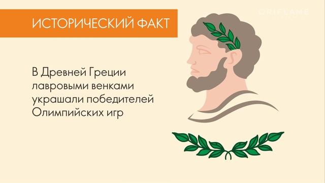 Парфюмерное масло лавра и бергамота Mind & Mood «Уверенность» с шариковым аппликатором смотреть онлайн