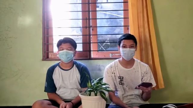Promosi tanaman hias🌻 | aglonema dieffenbachia/susu смотреть онлайн