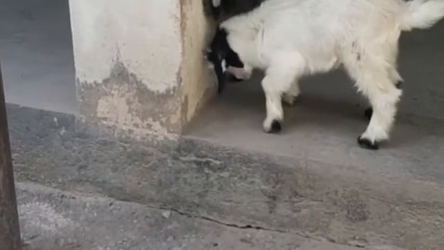 Жизнь - это борьба для каждого смотреть онлайн