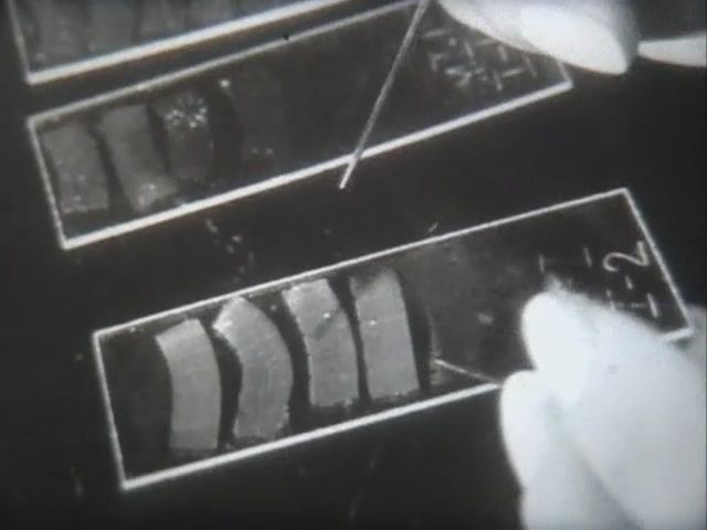 Физиология человека. Методы изучения тканей