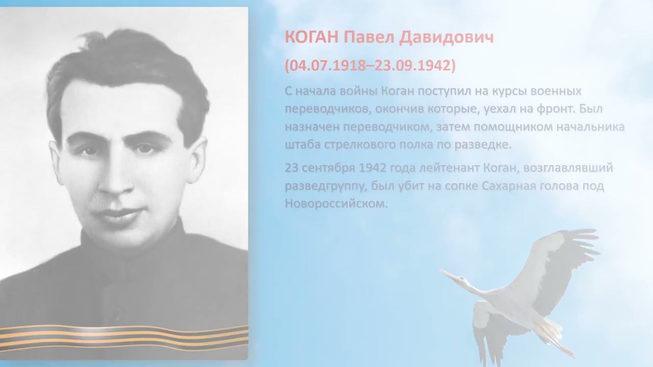 «И превратились в белых журавлей…» смотреть онлайн