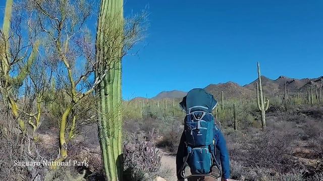 One Year of Travel with a Toddler | Visiting 20 National Parks | US Road Trip смотреть онлайн