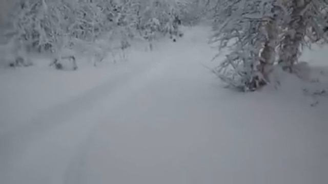 на избу пару дней в тайге смотреть онлайн