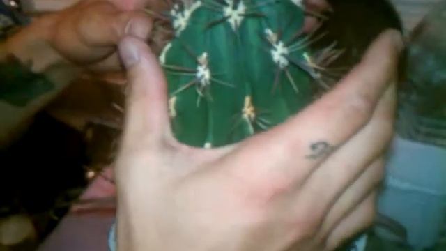 Cactus pick up смотреть онлайн